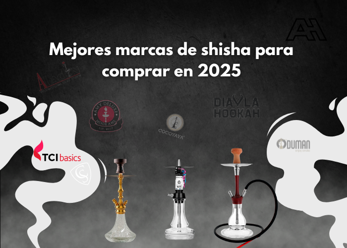 Las 13 Mejores marcas de shisha en 2025: ¿cuál elegir según tu estilo?